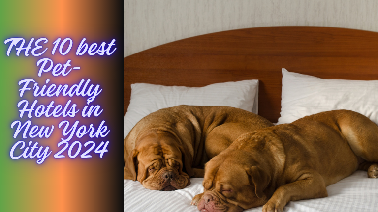 THE 10 best Pet-Friendly Hotels in New York City 2024