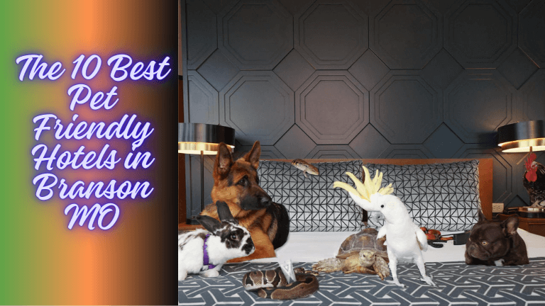 The 10 Best Pet Friendly Hotels in Branson MO