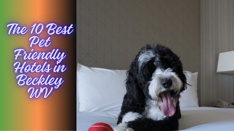 the 10 best pet friendly hotels in Beckley WV